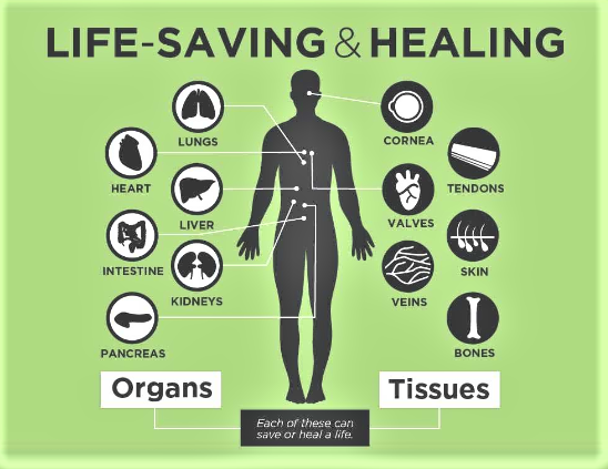 “Organ donation is lifesaving and life-giving.”

When death takes you away from this world, scaring your family behind, your organs can help in saving another life. Organ donation day is celebrated… Read more